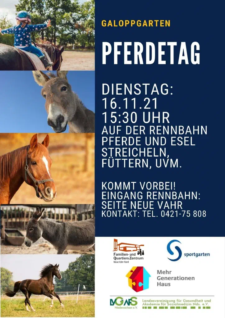 1 Pferdetag